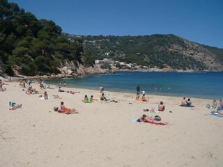 Chalet Blanes Environnement 14
