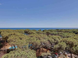 Chalet Blanes Environnement 23