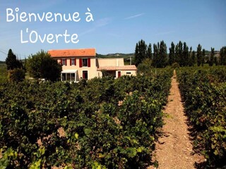 Maison de vacances Cairanne Environnement 40