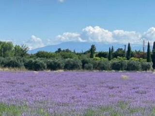 Casa per le vacanze Roaix Ambiente 27