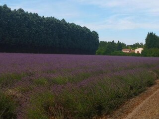 Vakantiehuis Roaix Omgeving 33