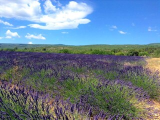 Vakantiehuis Saint-Romain-en-Viennois Omgeving 24