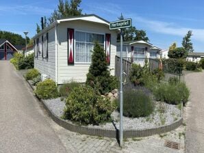 Chalet per vacanze per 4 persone con Internet gratuito a Sint-Annaland