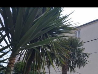 Villa Stobreč Buitenaudio-opname 4