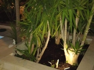 Villa Stobreč Outdoor Recording 7