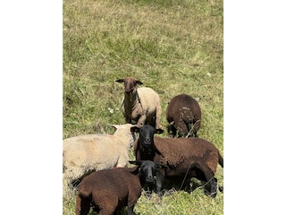 Chalet St. Martin in Passeier Umgebung 31