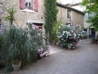 Vakantieappartement Ferrals-les-Corbières Buitenaudio-opname 6