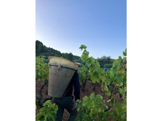 Appartamento per vacanze Ferrals-les-Corbières Ambiente 19