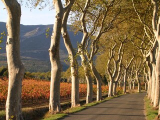 Casa per le vacanze Camplong d'Aude Ambiente 14