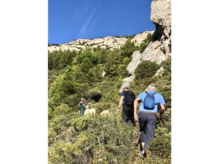 Casa per le vacanze Camplong d'Aude Ambiente 17