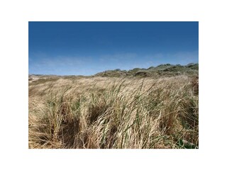 Ferienwohnung Norderney Außenaufnahme 12