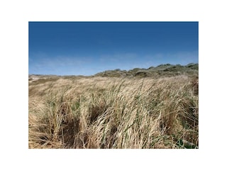 Ferienwohnung Norderney Außenaufnahme 9