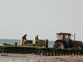 Holiday house Asnelles Environment 18