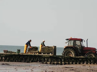 Holiday house Asnelles Environment 18