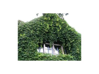 Holiday house Retschow Outdoor Recording 6