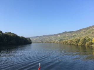 Mosel