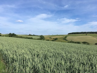 Cottage Ulmen Umgebung 19