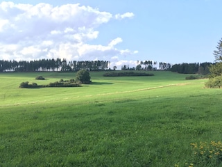 Cottage Ulmen Umgebung 21