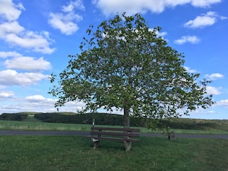 Cottage Ulmen Umgebung 22