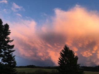 Cottage Ulmen Umgebung 26