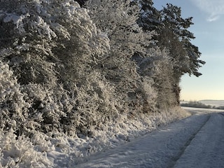 Cottage Ulmen Umgebung 33