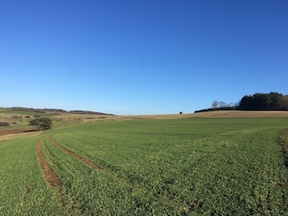 Cottage Ulmen Umgebung 25