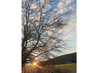 Cottage Ulmen Umgebung 34