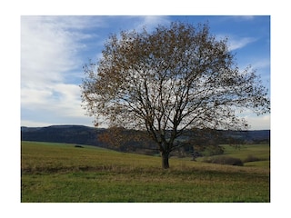 Cottage Ulmen Umgebung 31