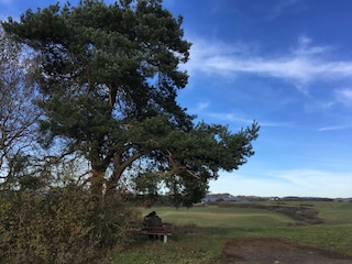 Cottage Ulmen Umgebung 32