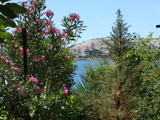 Apartment Stara Novalja  7