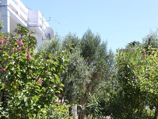 Apartment Stara Novalja  11