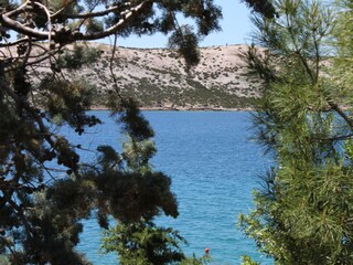 Apartment Stara Novalja  43