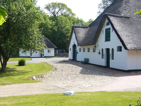 Ferienzimmer Schwalbennest Sattlerhof