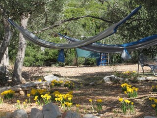 Ferienhaus Mrljane  6