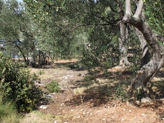 Ferienhaus Mrljane  7