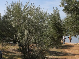 Ferienhaus Mrljane  20