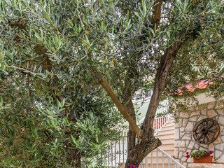 Apartment Okrug Gornji  18