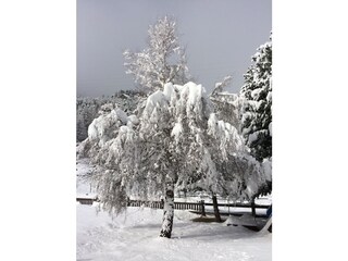 Appartamento per vacanze Saas-Grund Registrazione all'aperto 6