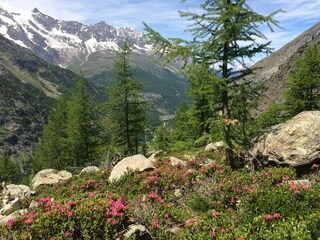 Appartamento per vacanze Saas-Grund Ambiente 17