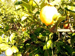 Casa de vacaciones Sedella  39