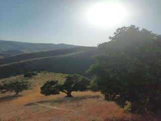 Casa de vacaciones Sedella Entorno 35