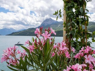 Appartement Selonnet  23