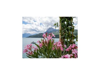 Appartement Selonnet  20