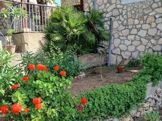 Appartement Vis (Stadt) Buitenaudio-opname 3