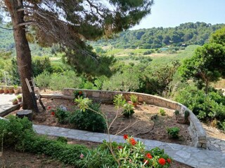 Appartement Vis (Stadt) Buitenaudio-opname 4