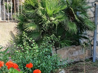 Apartamento Vis (Stadt) Grabación al aire libre 5