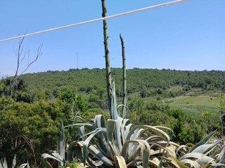 Appartement Vis (Stadt) Enregistrement extérieur 2