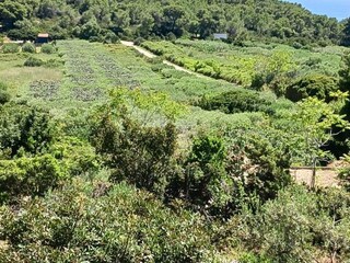 Appartement Vis (Stadt) Buitenaudio-opname 5