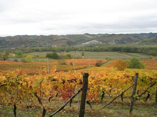 Castillo Ovada Entorno 16