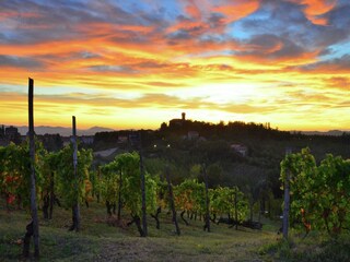 Kasteel Ovada Omgeving 29